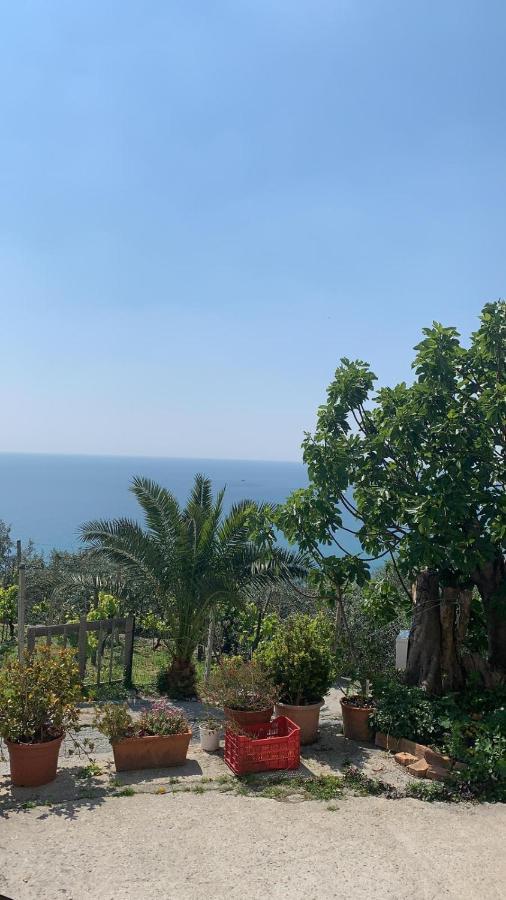 Agriturismo La Selva Finale Ligure Ngoại thất bức ảnh