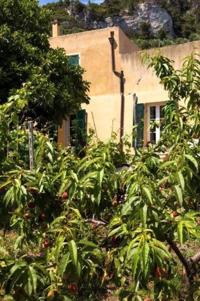 Agriturismo La Selva Finale Ligure Ngoại thất bức ảnh